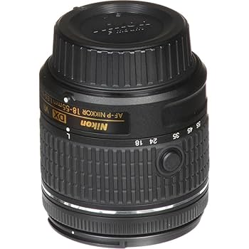 Amazon.com : Nikon - AF-P DX NIKKOR 18-55mm f/3.5-5.6G VR